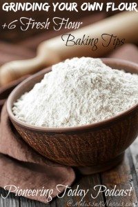 Grinding your own flour plus fresh flour baking tips. It took me 5 weeks to figure out how to use fresh flour. Excellent tips for altering your regular recipes to using fresh flour and which kinds of wheat berries are best for baking and where to get them. If you've ever wanted to grind and use your own flour, you need to read this now!