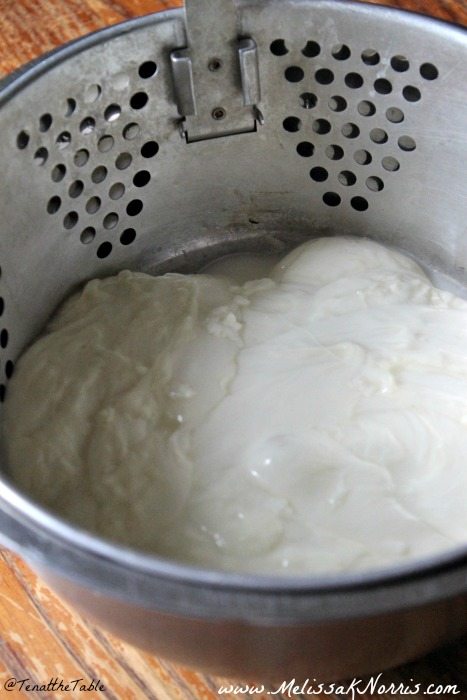 n how to make mozzarella at home. This easy tutorial shows you how to make your own delicious homemade mozzarella. 