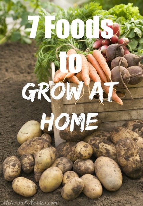 Tired of rising grocery prices? These are 7 foods we grow enough of to never purchase from the store. Learn how to begin growing your own groceries! Love the free resource guide. 