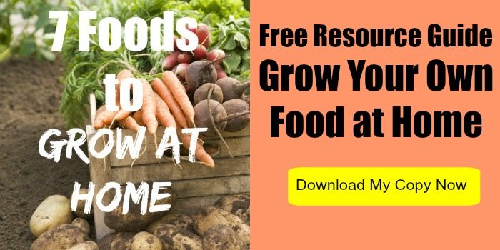 Free Resource Guide to Grow Your Own Food at Home