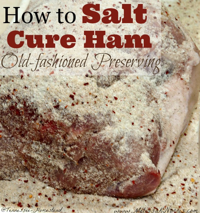 A ham roast in a salt cure.