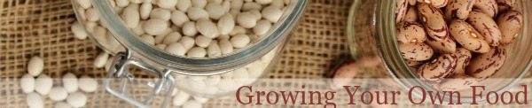 Resources for growing your own food