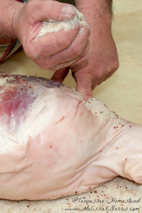 A man packing the joints of a fresh ham with a salt cure mix.