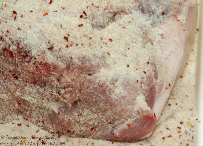 A fresh ham sitting in and covered in a salt cure rub.