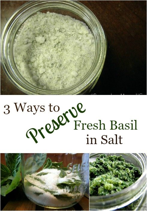 Want the fresh taste of basil for months on end? Use 3 ways to preserve basil in salt in minutes. I can't believe how easy this is!