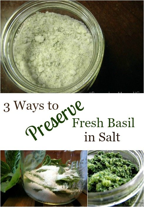 How to Preserve Fresh Basil in Salt