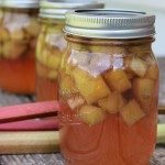 Want to have rhubarb all year long? Learn how to save money by preserving food when it's in season for year long use. Read now for 3 ways to preserve rhubarb and spring canning tips and recipes.