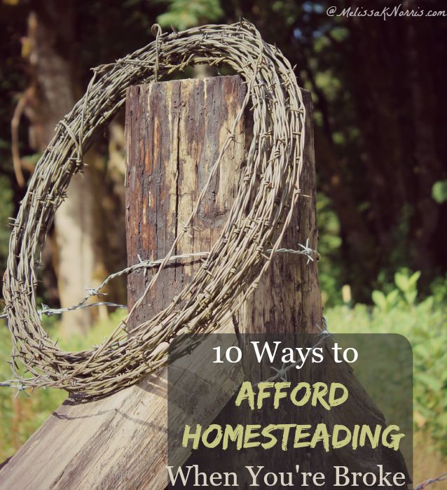 Want to start homesteading or building up your preparedness but don't have the funds? Here's 10 ways you can save money to afford funding your homestead and self-sufficient lifestyle today. 