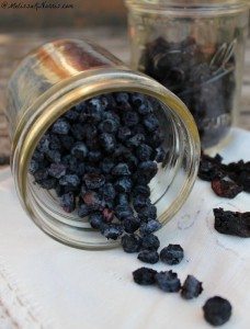 Learn how to dehydrate fruit at home to save money and build up your food storage. This simple tip will cut hours off your dehydrating time. Grab this now to preserve the summer berry and fruit harvest.