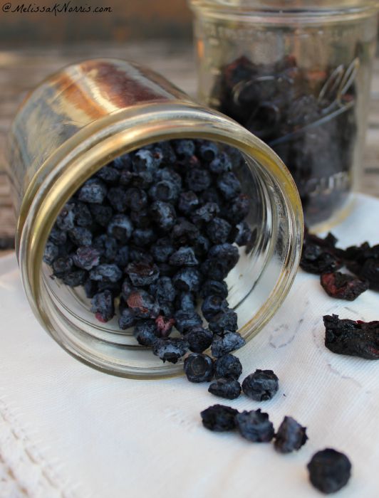 How To Dehydrate Fruit Blueberries Cherries Grapes Raspberries Blackberries