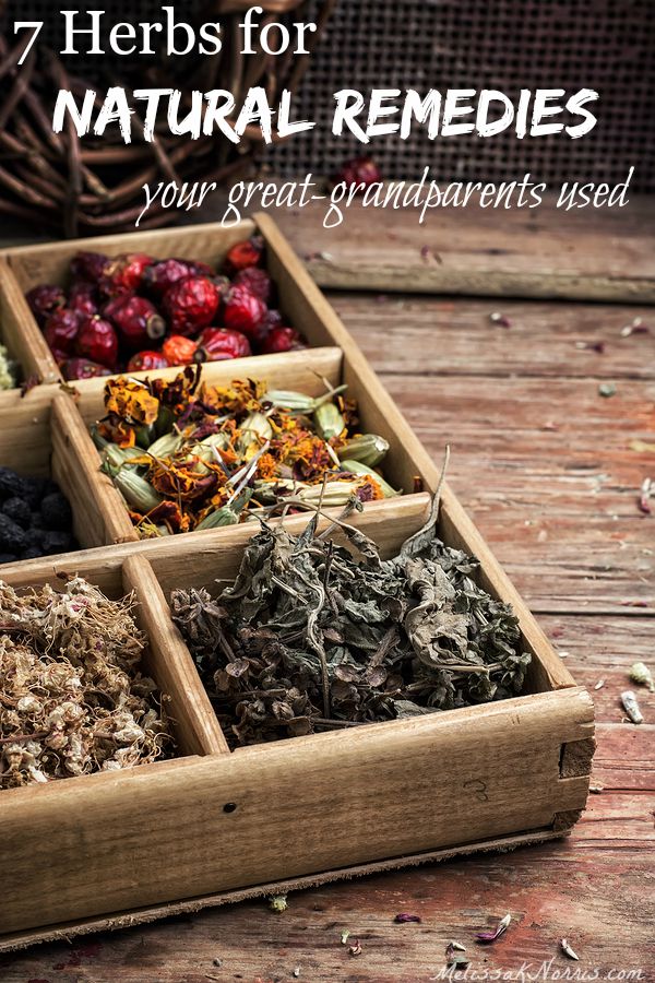 Learn the 7 best herbs for natural remedies that your great-grandparents knew. Use nature's medicine chest for common ailments. Grab these now to be prepared before you need them. I love the safety aspects mentioned, too!