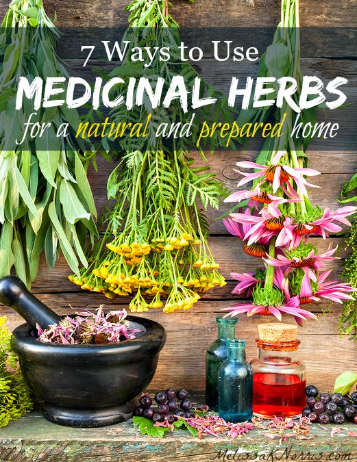 7 ways to use medicinal herbs in your natural, preparedness, and survival medicine chest! Great list of herbs and the ways to prepare them for different ailments. Grab this now so you're ready before you need it!