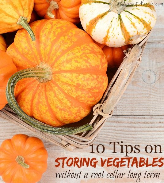 Learn these 10 tips to store vegetables without a root cellar long term. Tells how to cure, temps, and storing time for 7 vegetables using root cellar techniques when you don't have a garage or root cellar. Great way to save money and build up food storage!