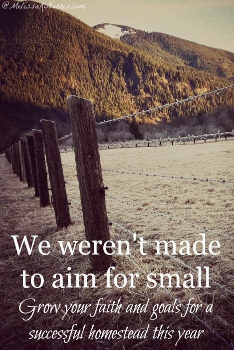 We weren't made to aim small. Learn how to have bigger faith and goals this year for a more successful homestead. I love the story of the homestead act in relation to faith! 