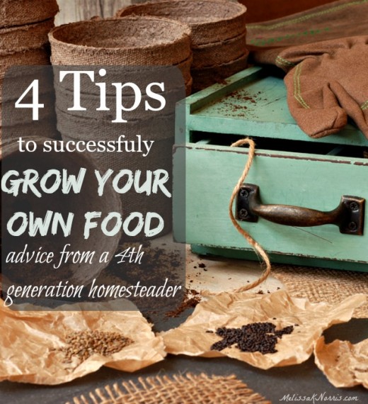 4 Tips To Success In Growing Your Own Food Melissa K Norris