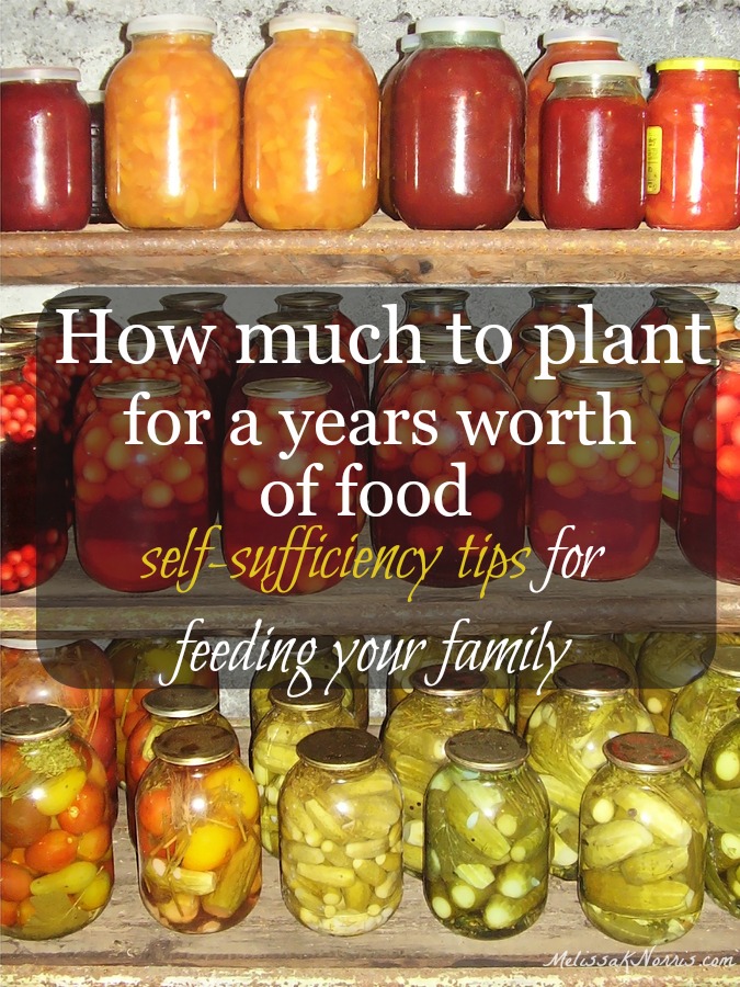 How much to plant per person for a year's worth of food of each plant per person