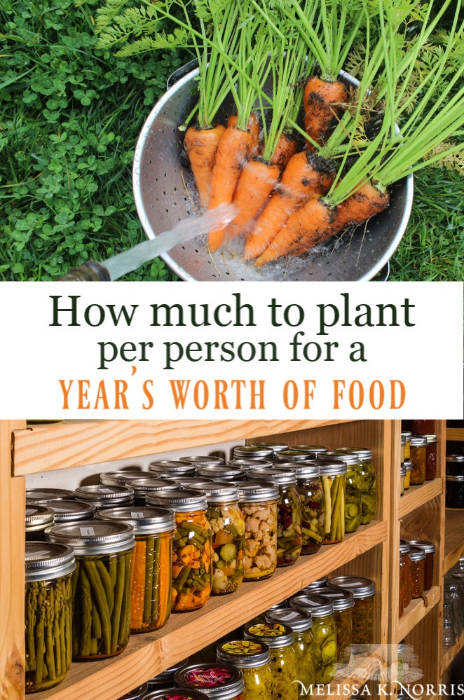how much to plant per person for a year's worth of food