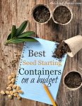 Best seed starting containers when you're on a budget