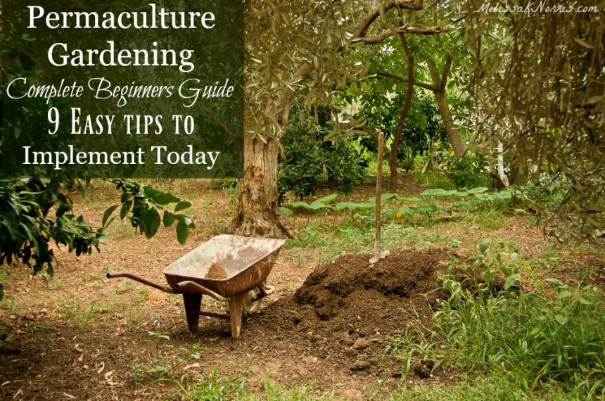 Permaculture Garden - Beginners Guide - Melissa K. Norris