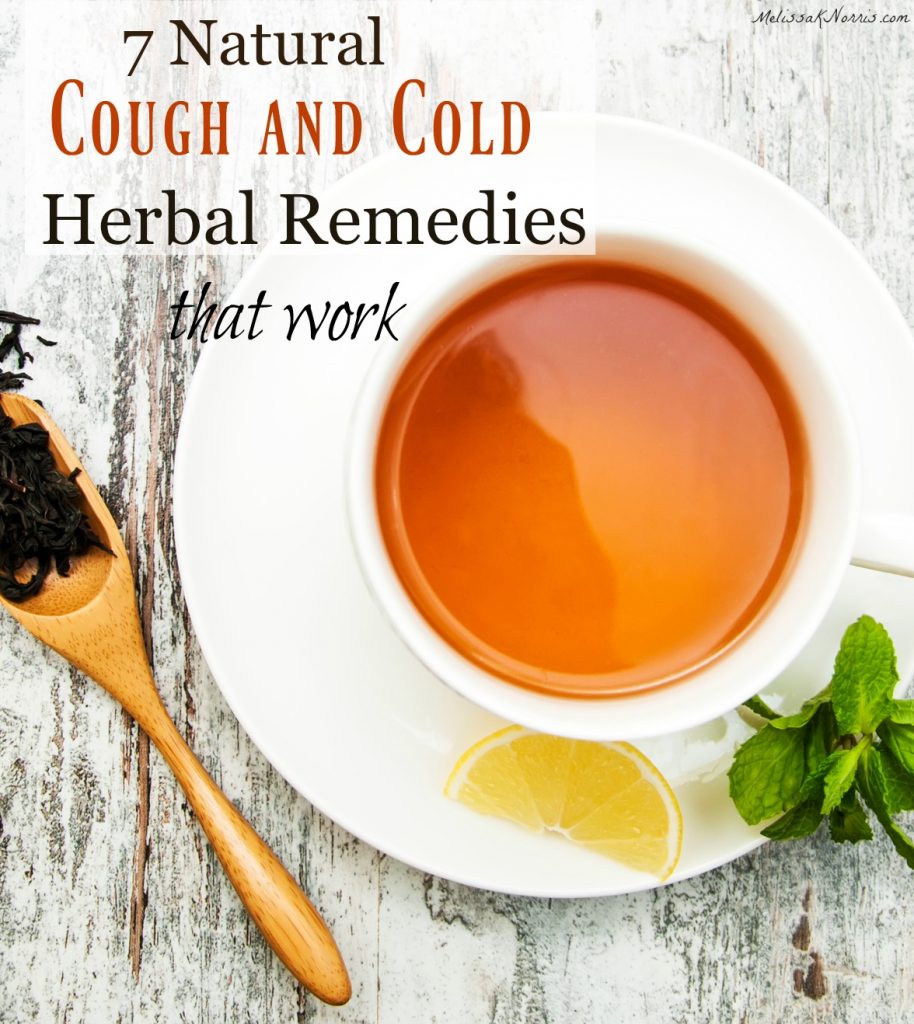 cough and cold herbal remedies