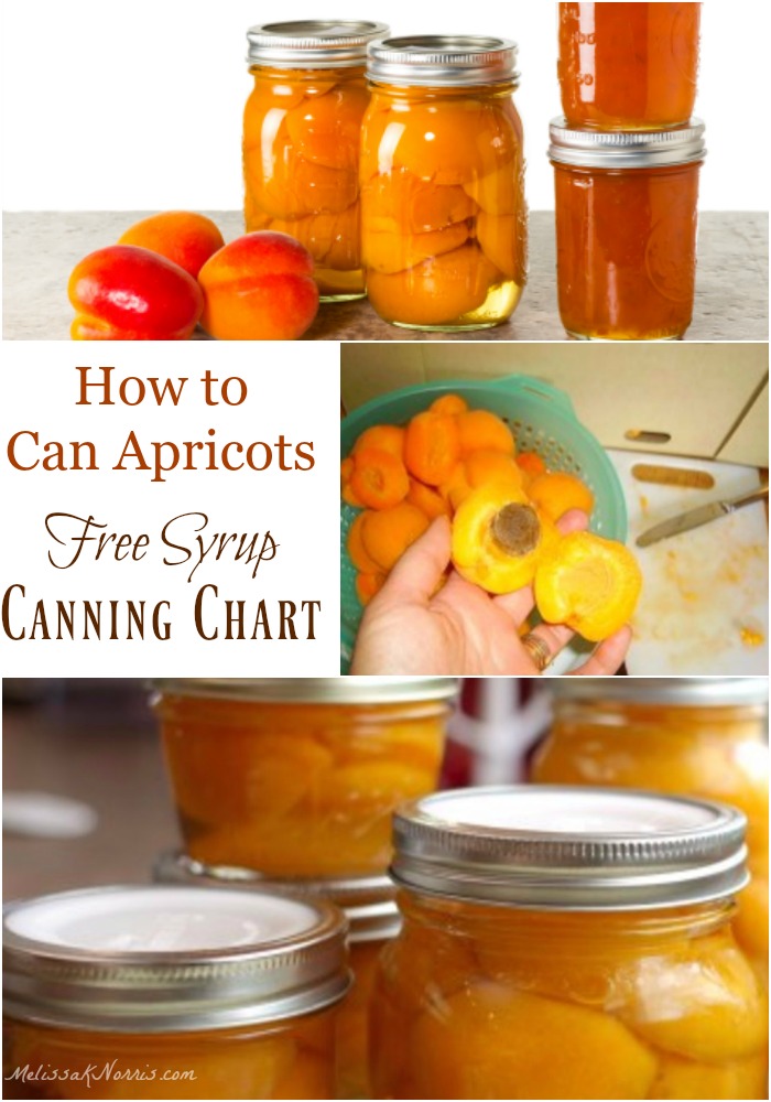 how to can fresh apricots