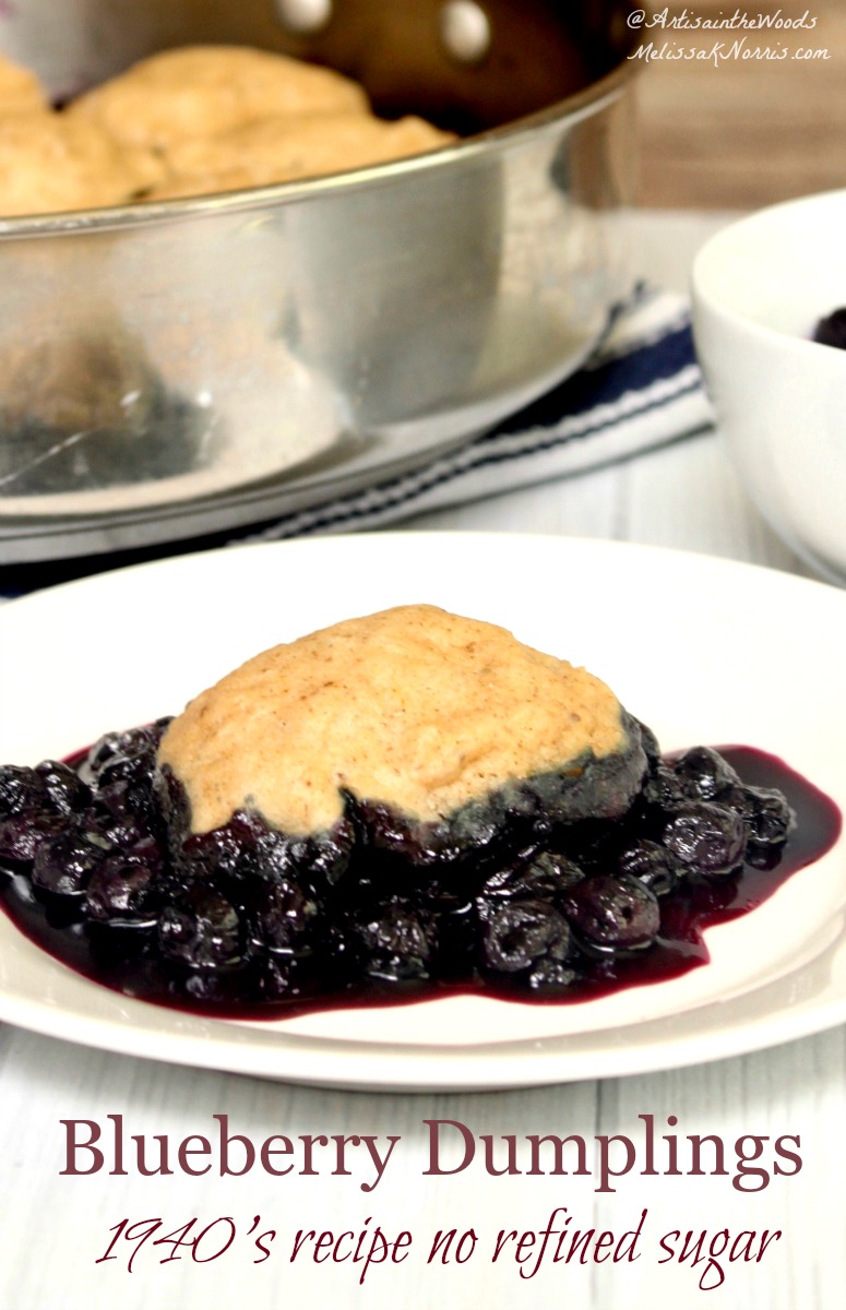 Blueberry Dumplings Recipe-Old-fashioned recipe from the ...