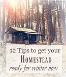 12 tips to get your homestead (livestock, garden, and home) ready for winter now!