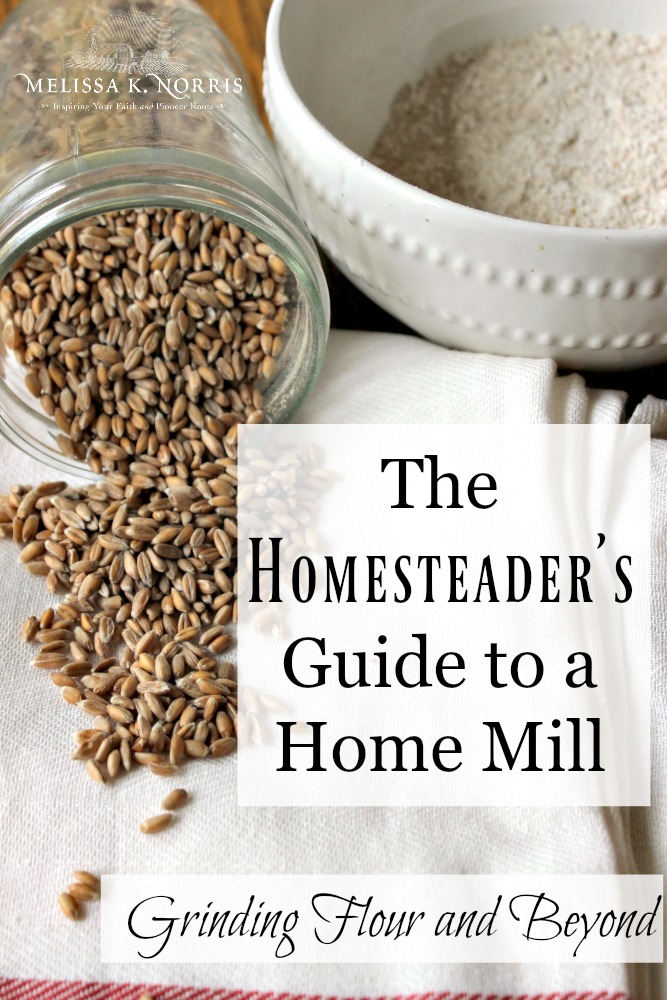 Choosing the right home flour mill for your kitchen