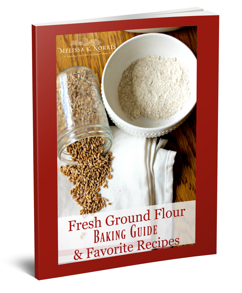 How to Grind Flour at Home & Choosing a Mill