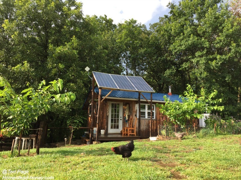 Freezing Food - Our Tiny Homestead