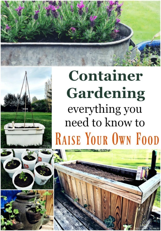 Container Gardening for Vegetables- Everything You Need to Know