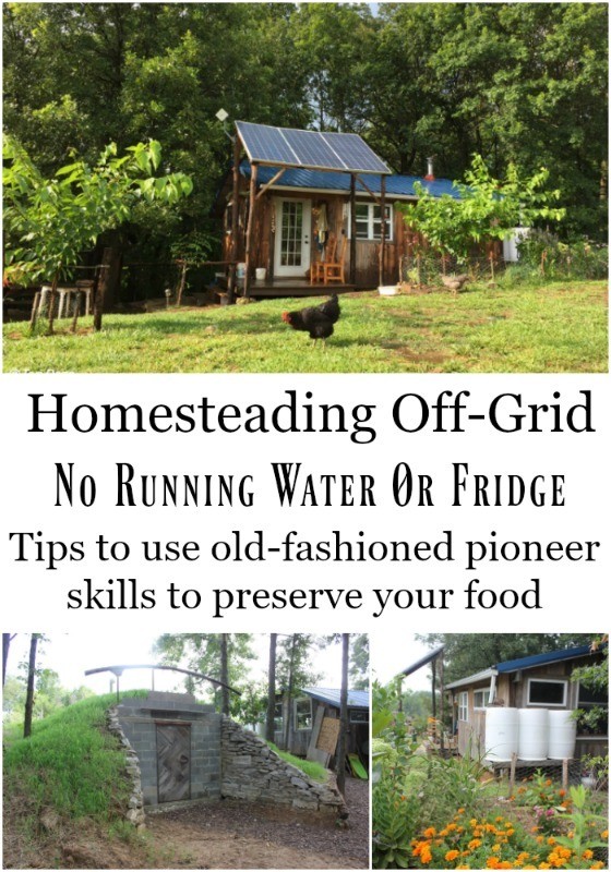 https://melissaknorris.com/wp-content/uploads/2018/05/Homesteading-Off-Grid.jpg