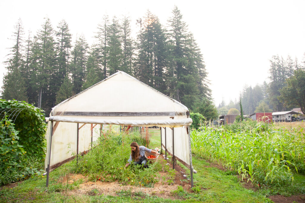 A woman under a high tunnel working in the garden.