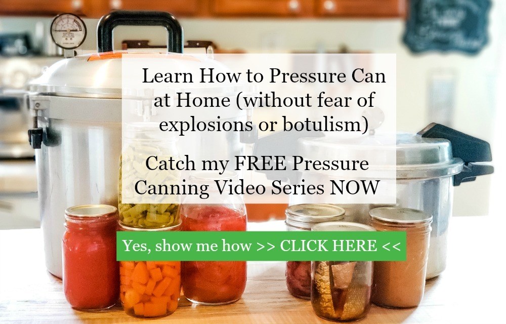 Canning in Electric Pressure Cookers & Other Pressure Canning Questions -  Melissa K. Norris