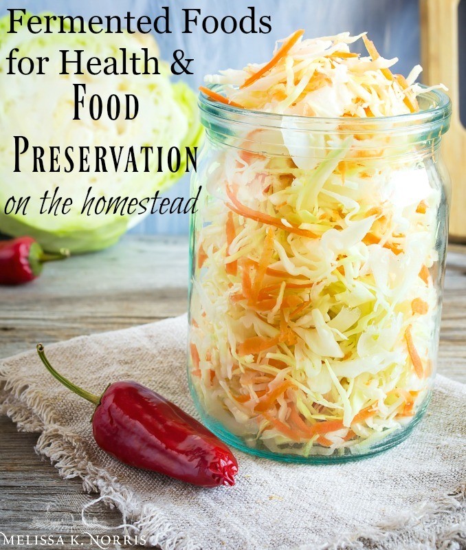 Fermented Foods for Health & Food Preservation
