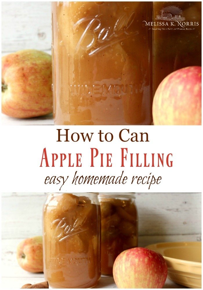 How to Pressure Can Apple Pie Filling