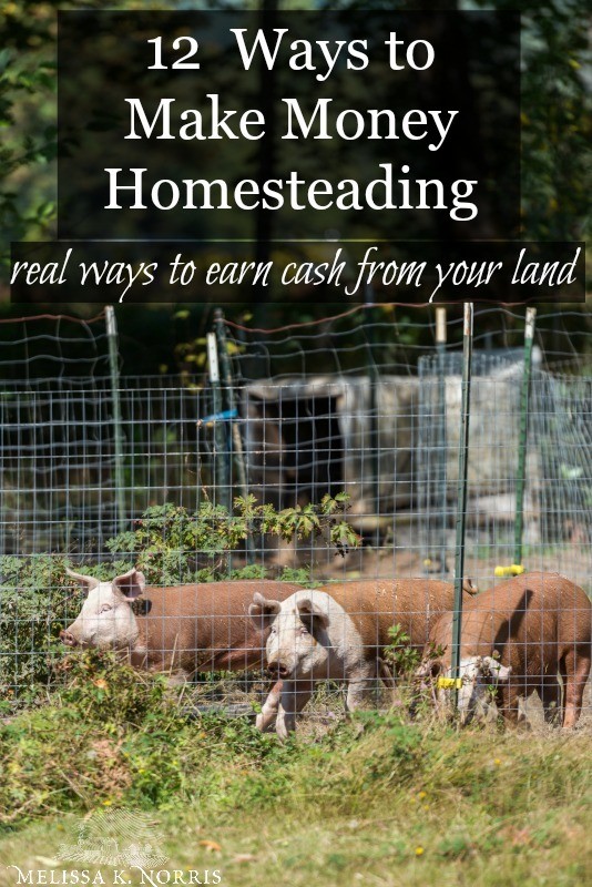 Make money homesteading