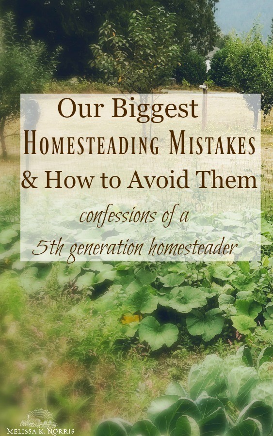 biggest homestead mistakes and how to avoid them when starting your homestead