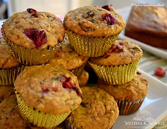 healthy cranberry muffins recipe