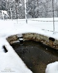 Snowlivestocktank
