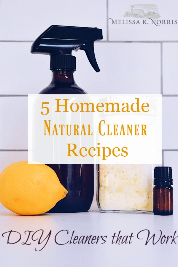 Homemade 409 Cleaner Recipe! {Quick + Easy to Make}  Cleaner recipes,  Homemade cleaners recipes, Cleaning recipes