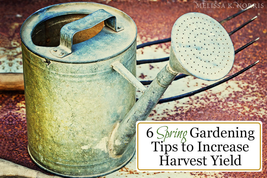 spring gardening tips