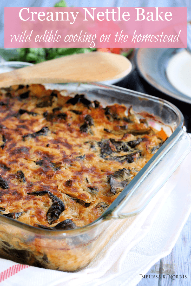 creamy nettle rice bake on table