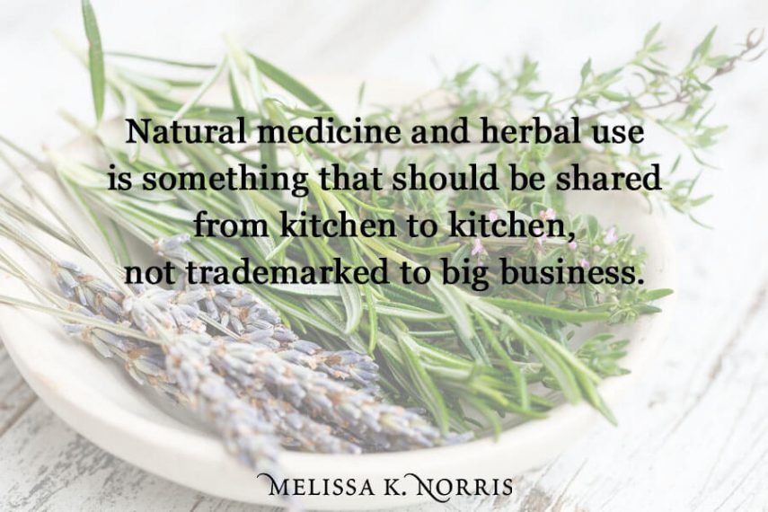 Traditional Fire Cider Recipe & Benefits Guide Rosemary Gladstar