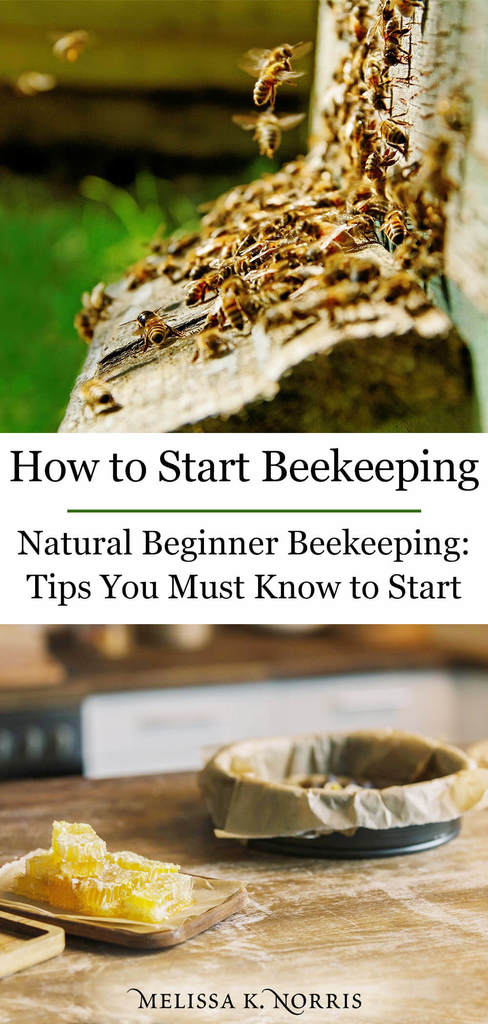 backyard beekeeping for beginners, honey comb on table, bees entering hive