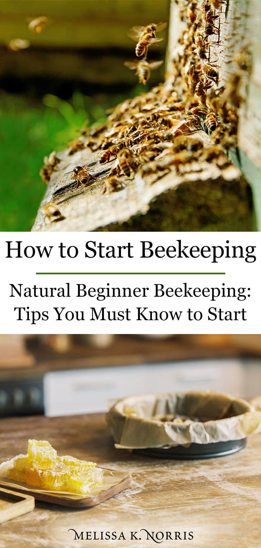 How To Start Beekeeping - Natural Beginner Beekeeping - Melissa K. Norris