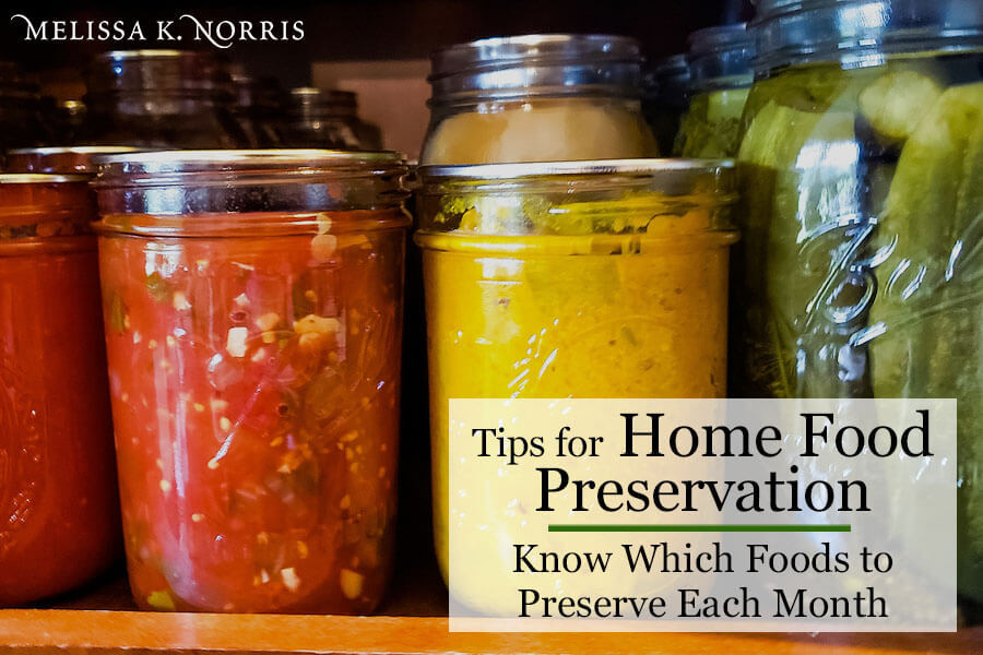 Preparing for a home food preservation season: pressure canners – Safe &  Healthy Food for Your Family