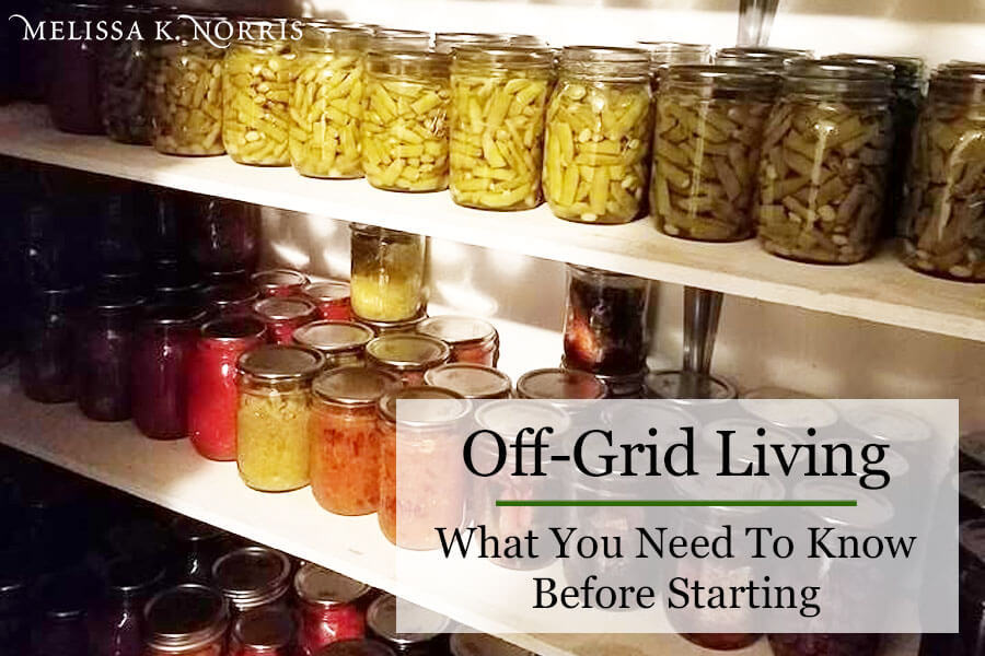 Off grid living pantry shelves lined with Mason jars filled with home canned food