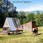Make Money Homesteading Garden Melissa K Norris IG