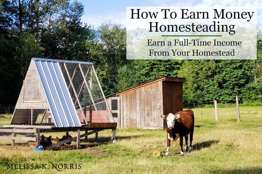 How to Earn Money Homesteading Earn a Full-Time Income From Your Homestead